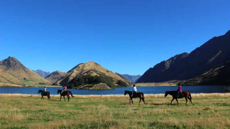 Come along for this relaxed scenic horse trek located on prime Queenstown back country. 